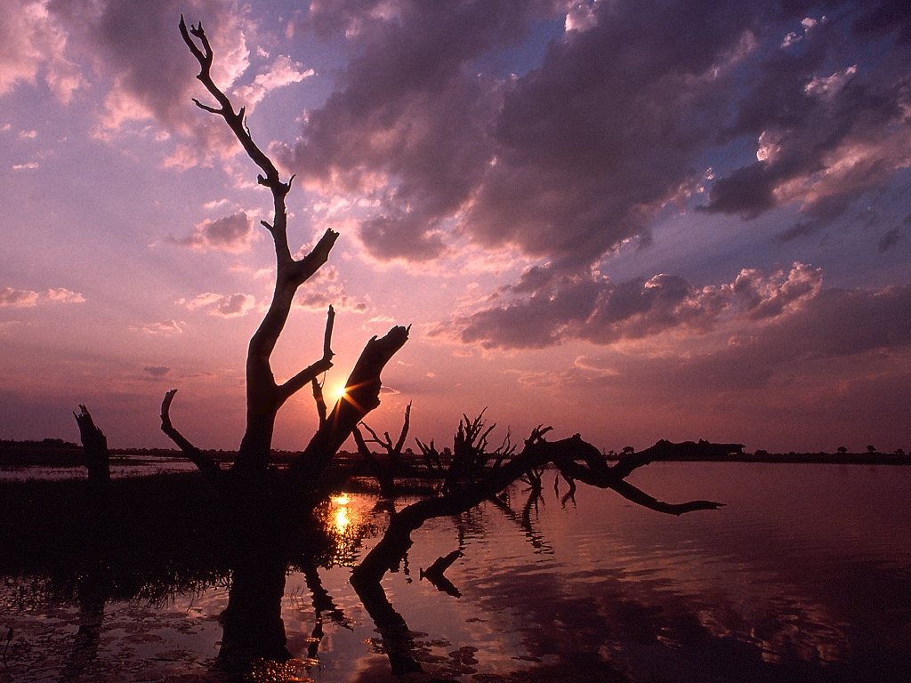 Chobe-Nationalpark, Botswana, 2002